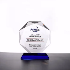 Hexa Blue Crystal Award